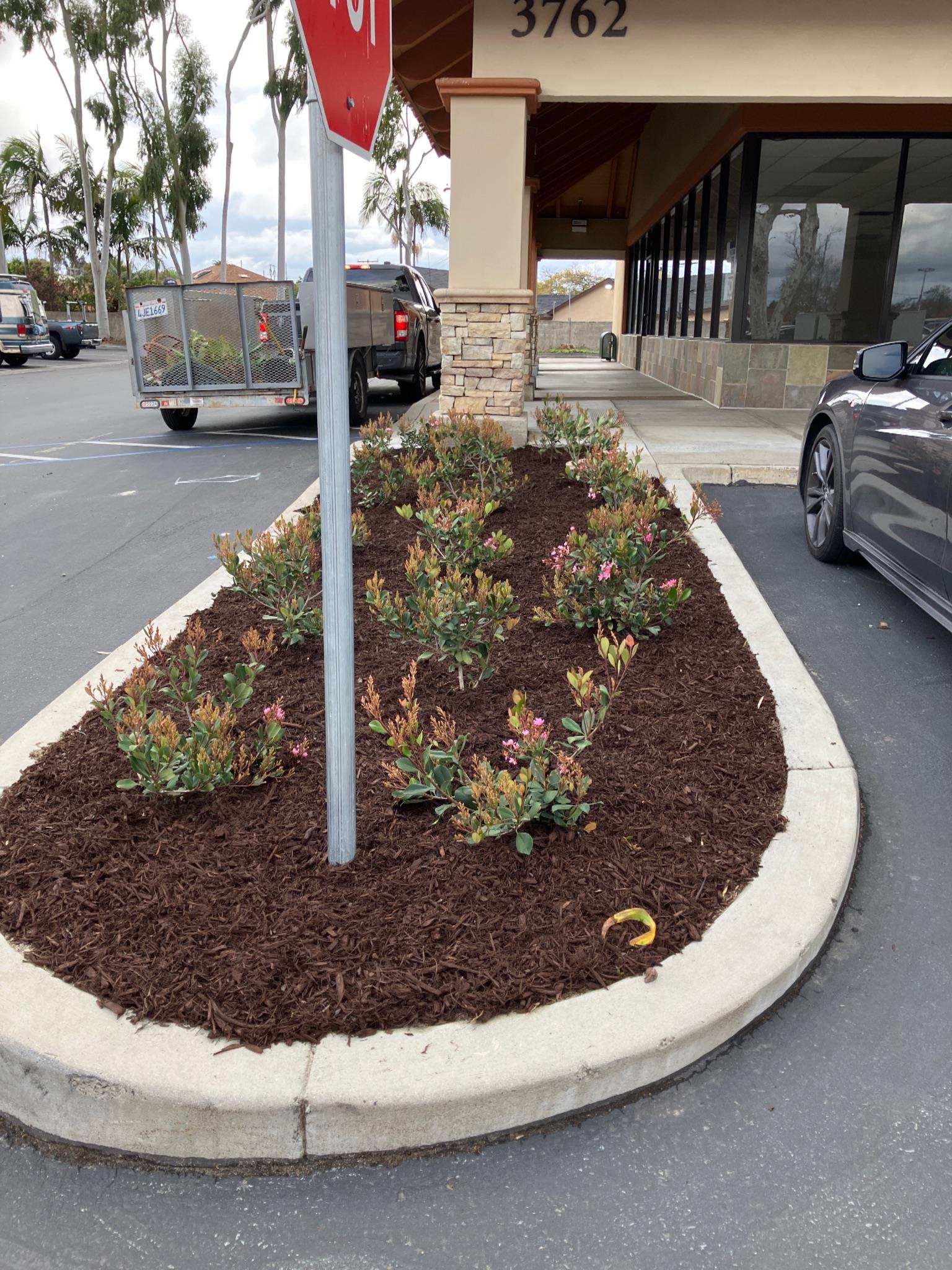 Landscaping
