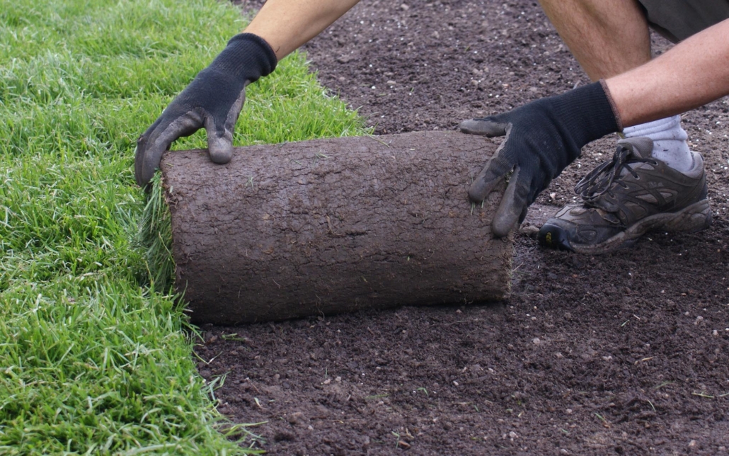 View of a landscaping worker laying down grass